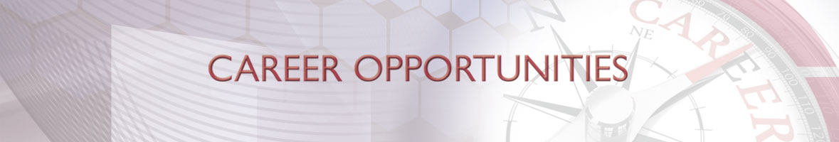 Career Opportunities with Testa Analytical Solutions